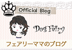 Official Blog