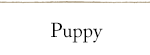 Puppy