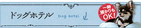 ドッグホテル