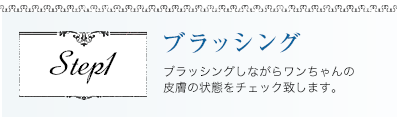 ブラッシング ブラッシングしながらワンちゃんの皮膚の状態をチェック致します。