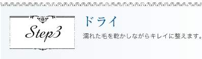 ドライ 濡れた毛を乾かしながらキレイに整えます。